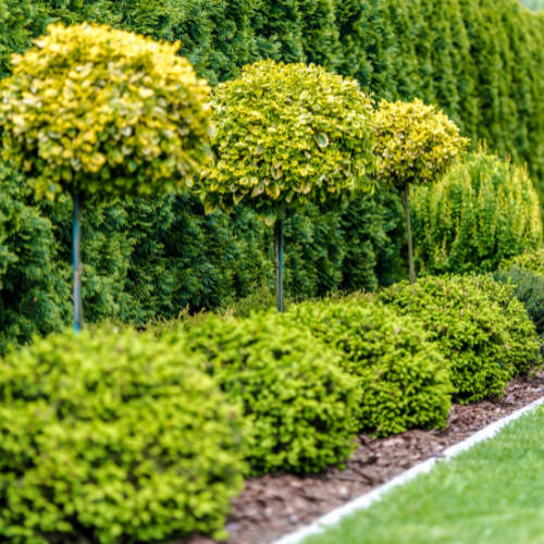 Hedging
