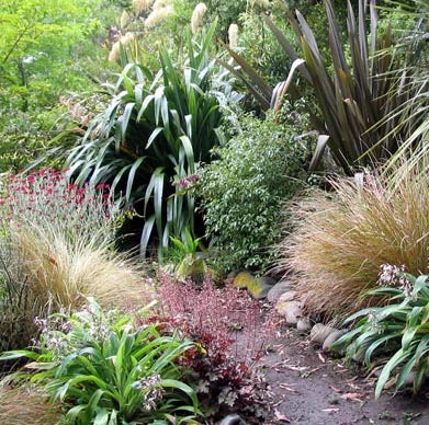 NZ Natives