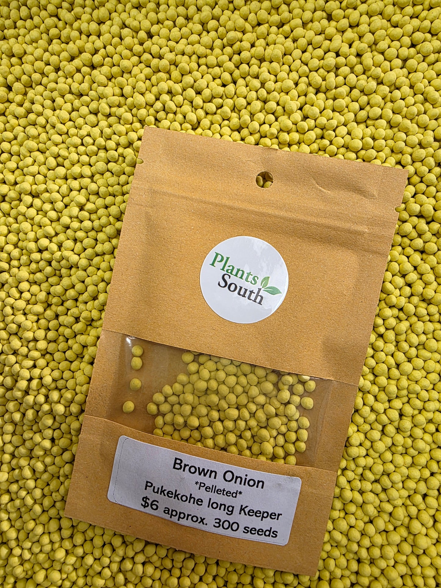 Onion - Pukekohe Long Keeper - Pelleted seed
