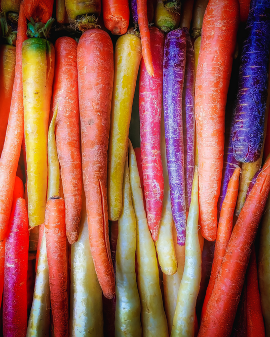 Carrot Seed 'Rainbow Mixed' Pelleted 300 seeds approx.