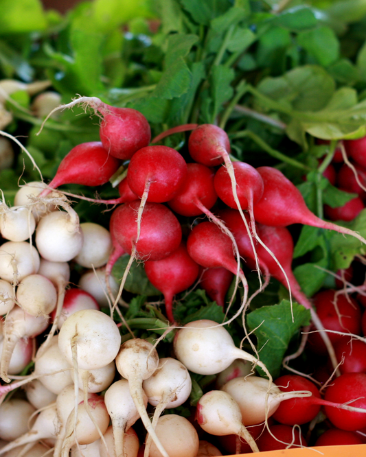 Mix Radish Pelleted seed Aprox 400 seeds