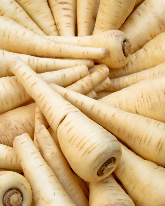 Parsnip Seed Pelleted - 75 Seeds Approx. Back in-stock NOW