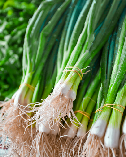 Spring Onion - Pelleted seed