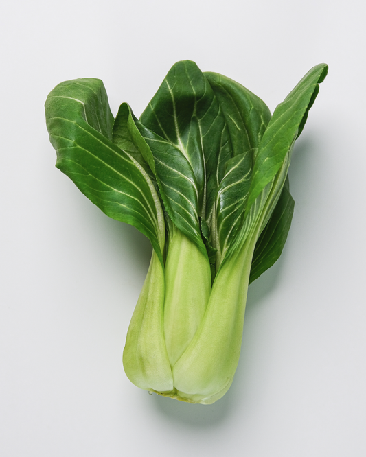 Pak Choi - Green Stem- Clubroot Resistant - Pelleted