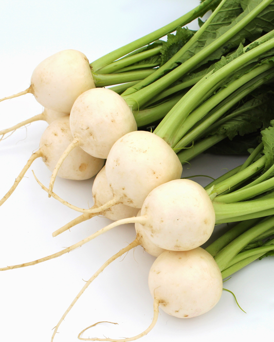 Whitestone turnip - Tokyo