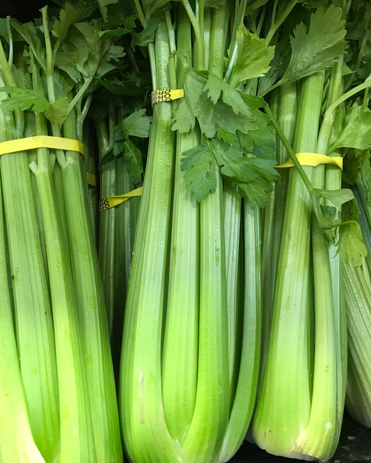 Cellery - Pelleted Seed