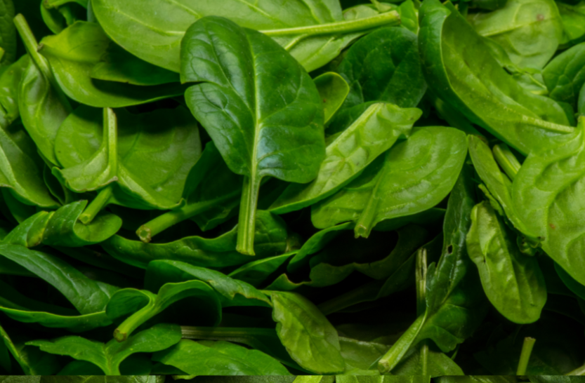 Baby Spinach Seed