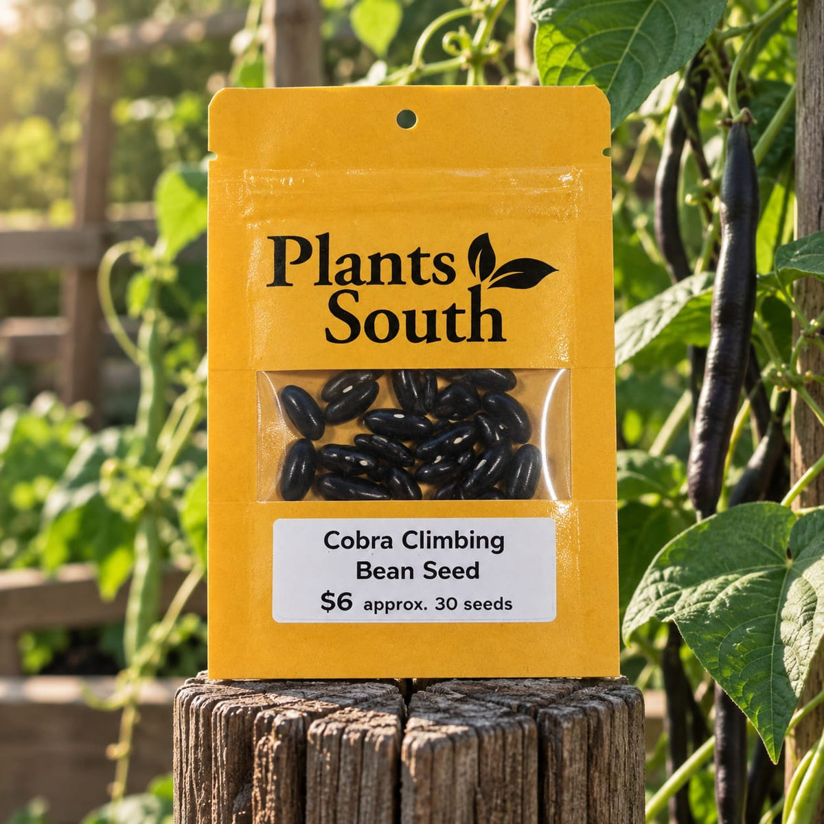 Cobra Climing Bean