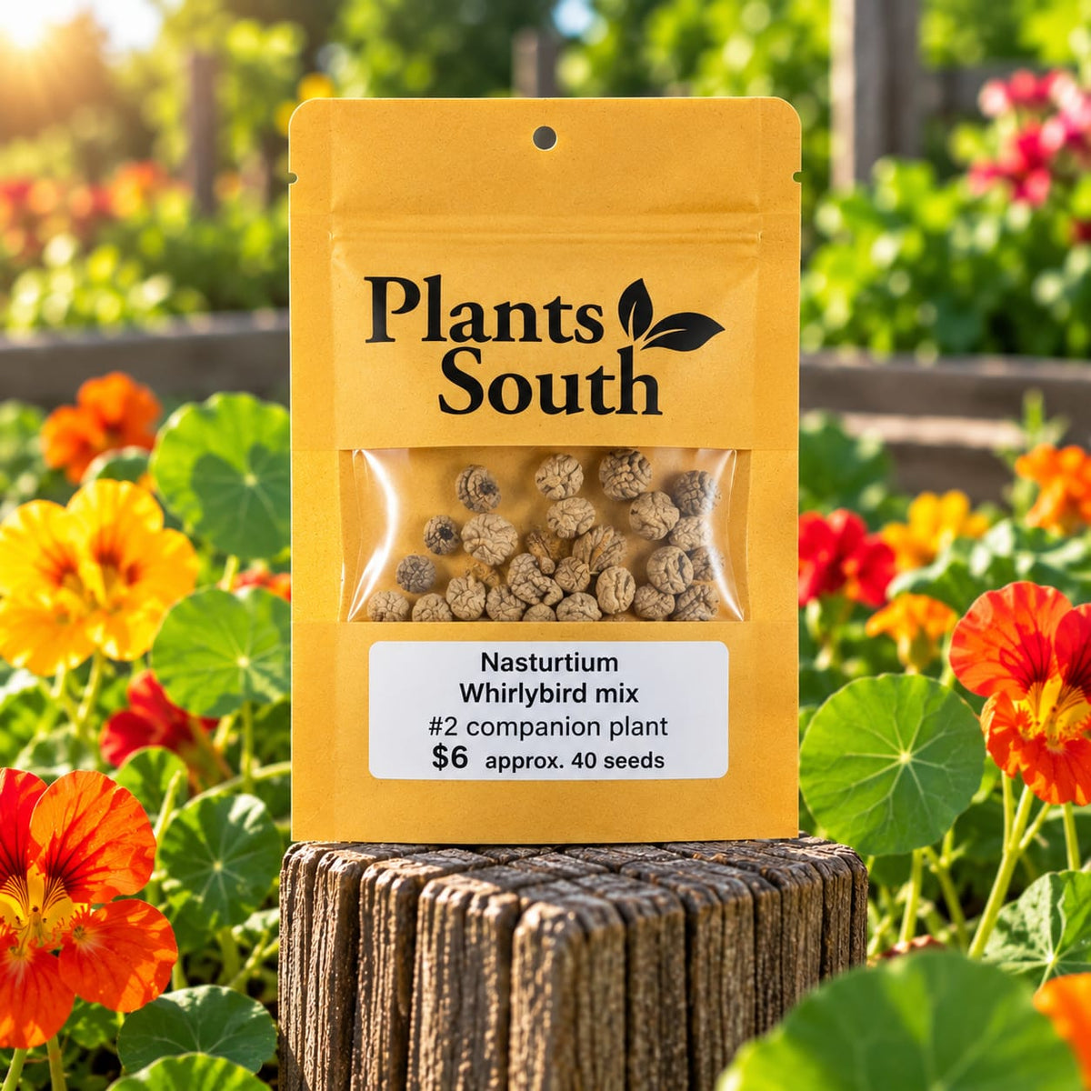 Nasturtium Whirlybird Mix #2 Companion Plant - 40 Seeds approx.