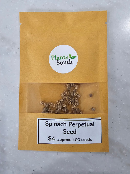 Spinach Perpetual Seed