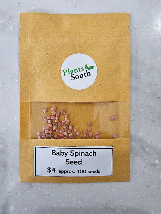 Baby Spinach Seed