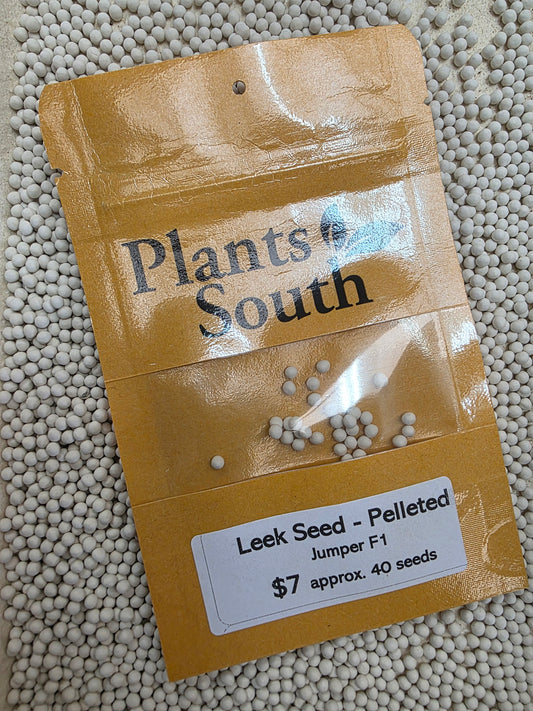Leek Seed - Pelleted - Jumper F1 - NEW-