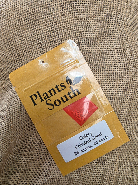 Cellery - Pelleted Seed