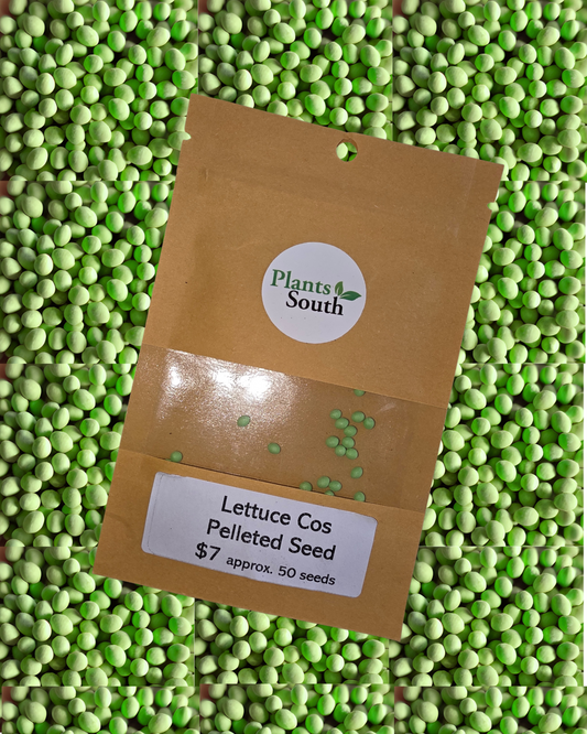 Cos Lettuce Seed Pelleted