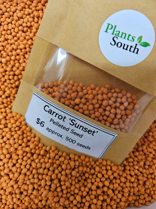 Carrot Seed 'Sunset' Pelleted 500 seeds approx.