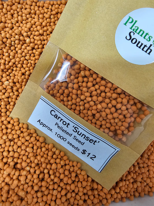 Carrot Seed 'Sunset' Pelleted 1000 seeds approx.