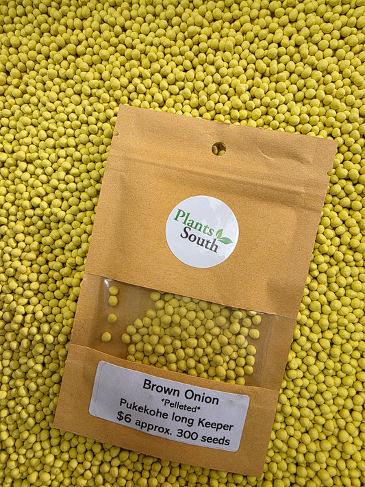 Onion - Pukekohe Long Keeper - Pelleted seed