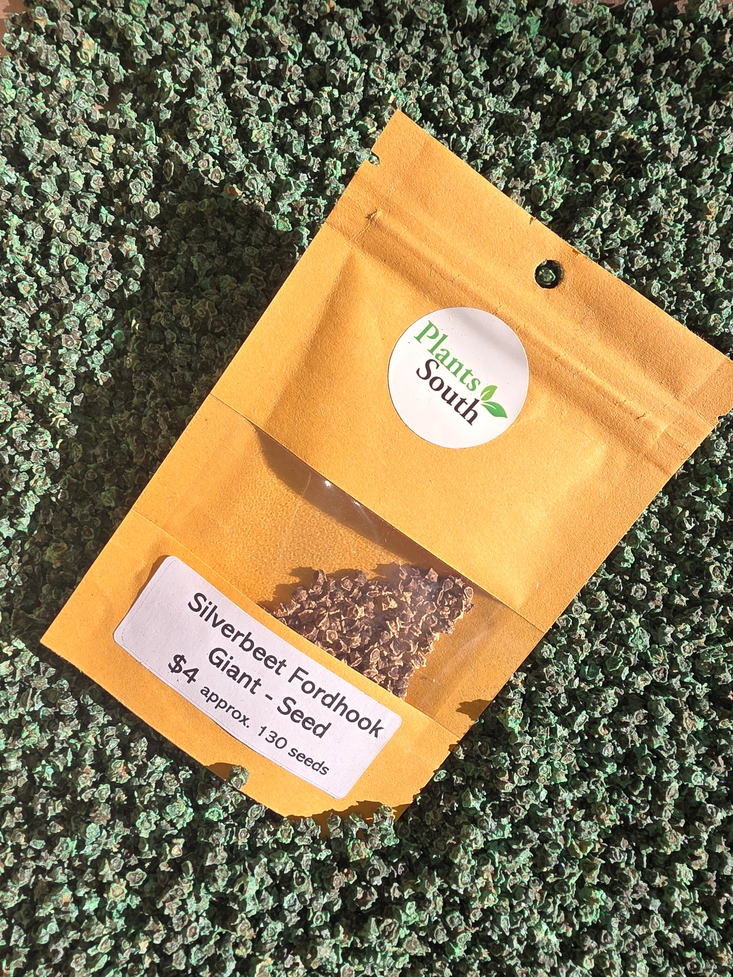 Silverbeet Fordhook Giant Seed