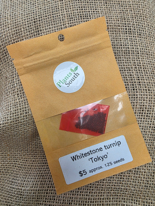 Whitestone turnip - Tokyo
