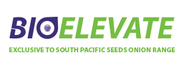 Carrot Seed 'Sunrise' Pelleted 400 seeds approx.