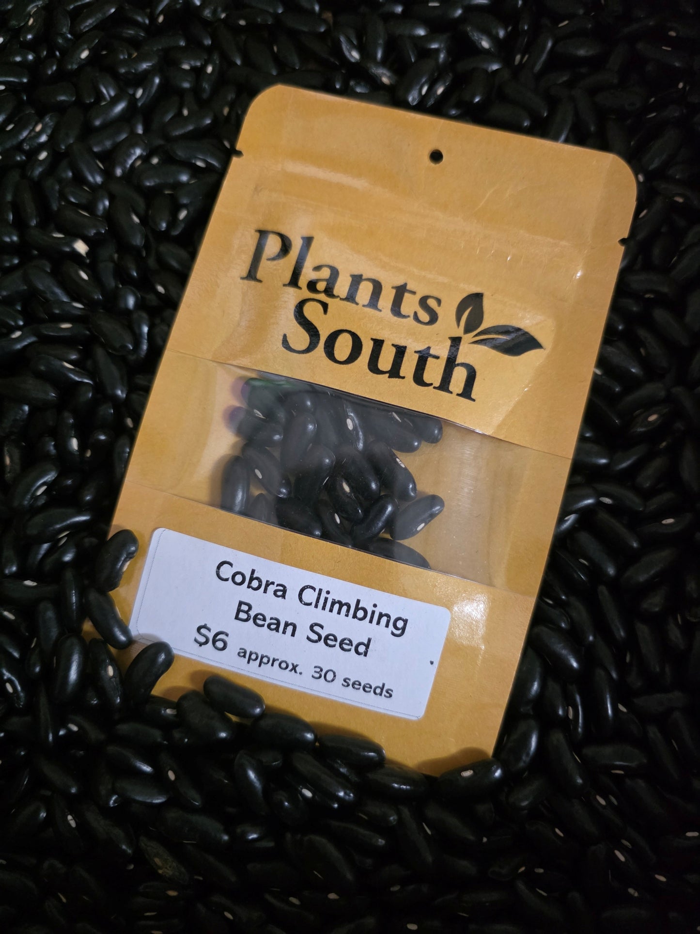 Cobra Climing Bean
