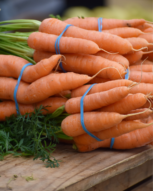 Carrot Seed 'Early little finger' Pelleted 400 seeds approx.