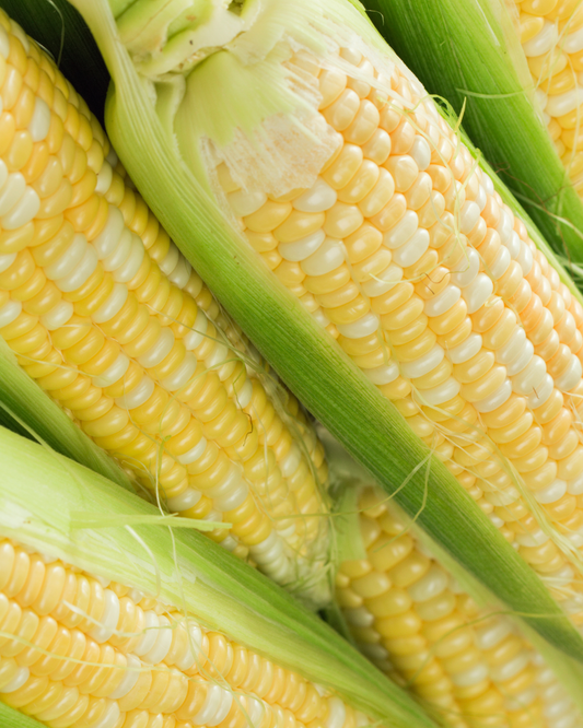 Sweet Corn 'Simply the best'