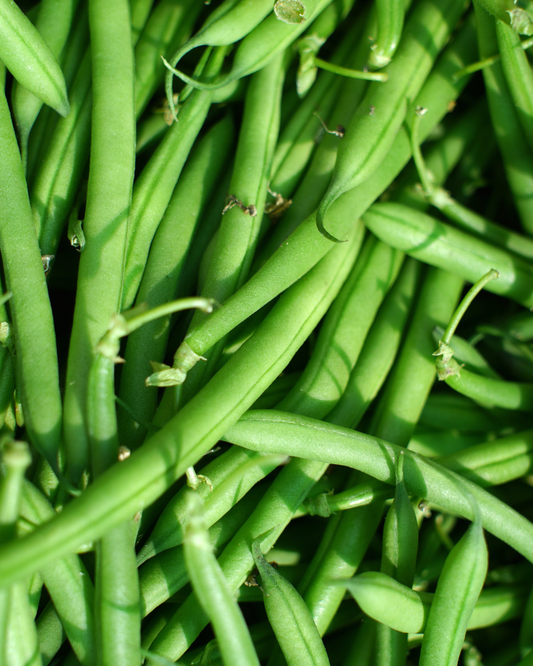 Cobra Climing Bean