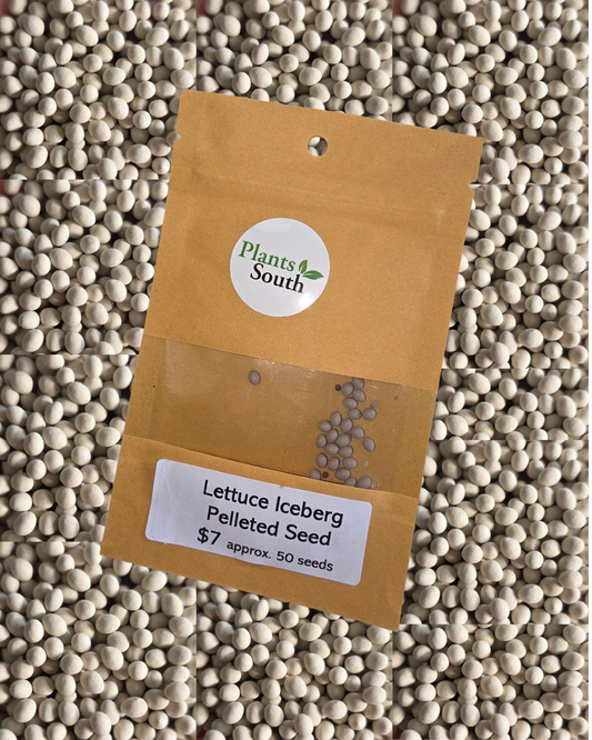 Lettuce Iceberg Seed Pelleted