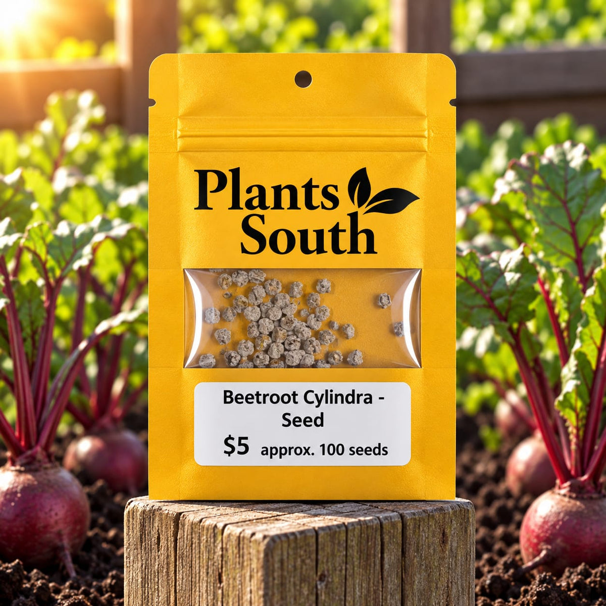 Beetroot Cylindra  Seed - Approx. 100 Seeds
