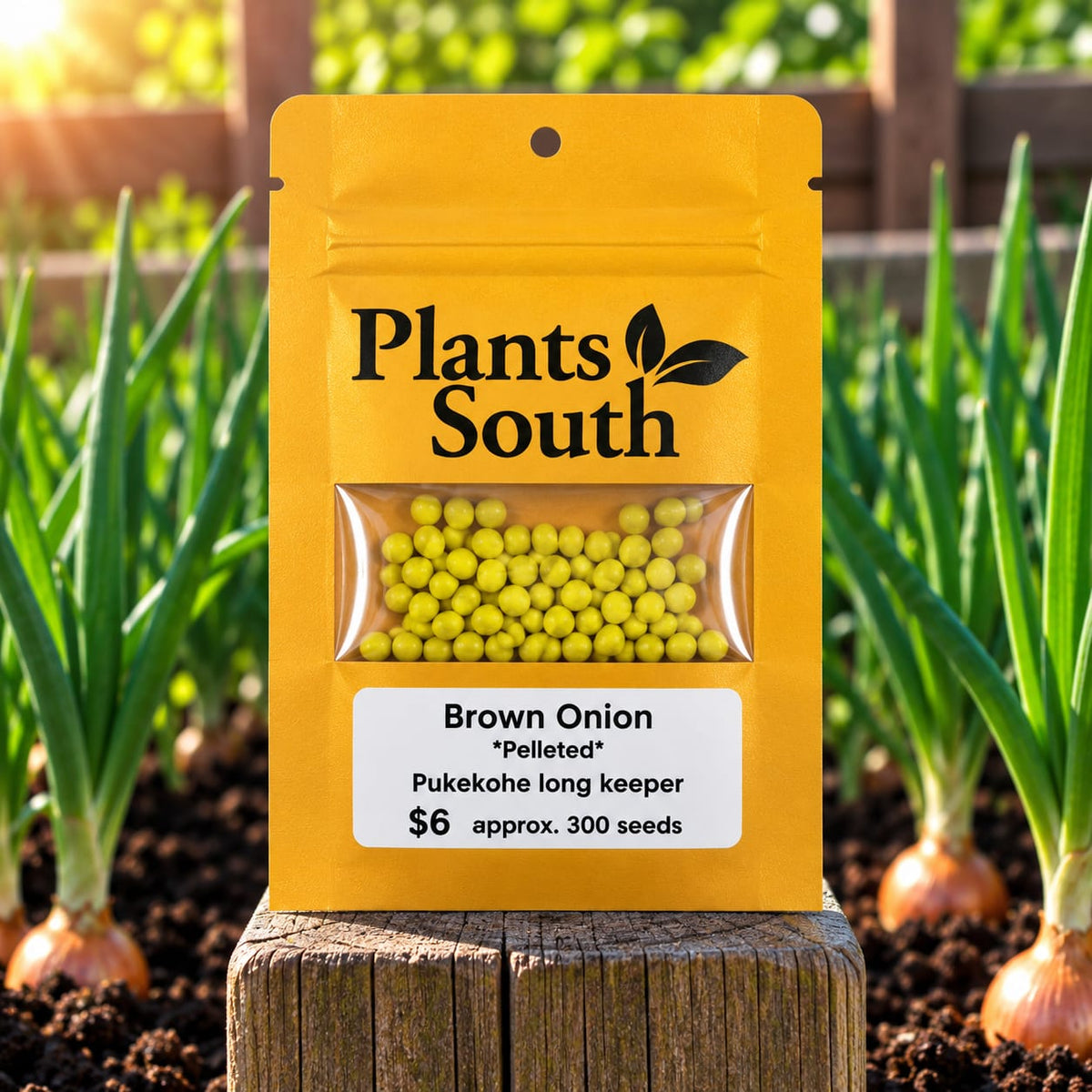 Onion - Pukekohe Long Keeper - Pelleted seed