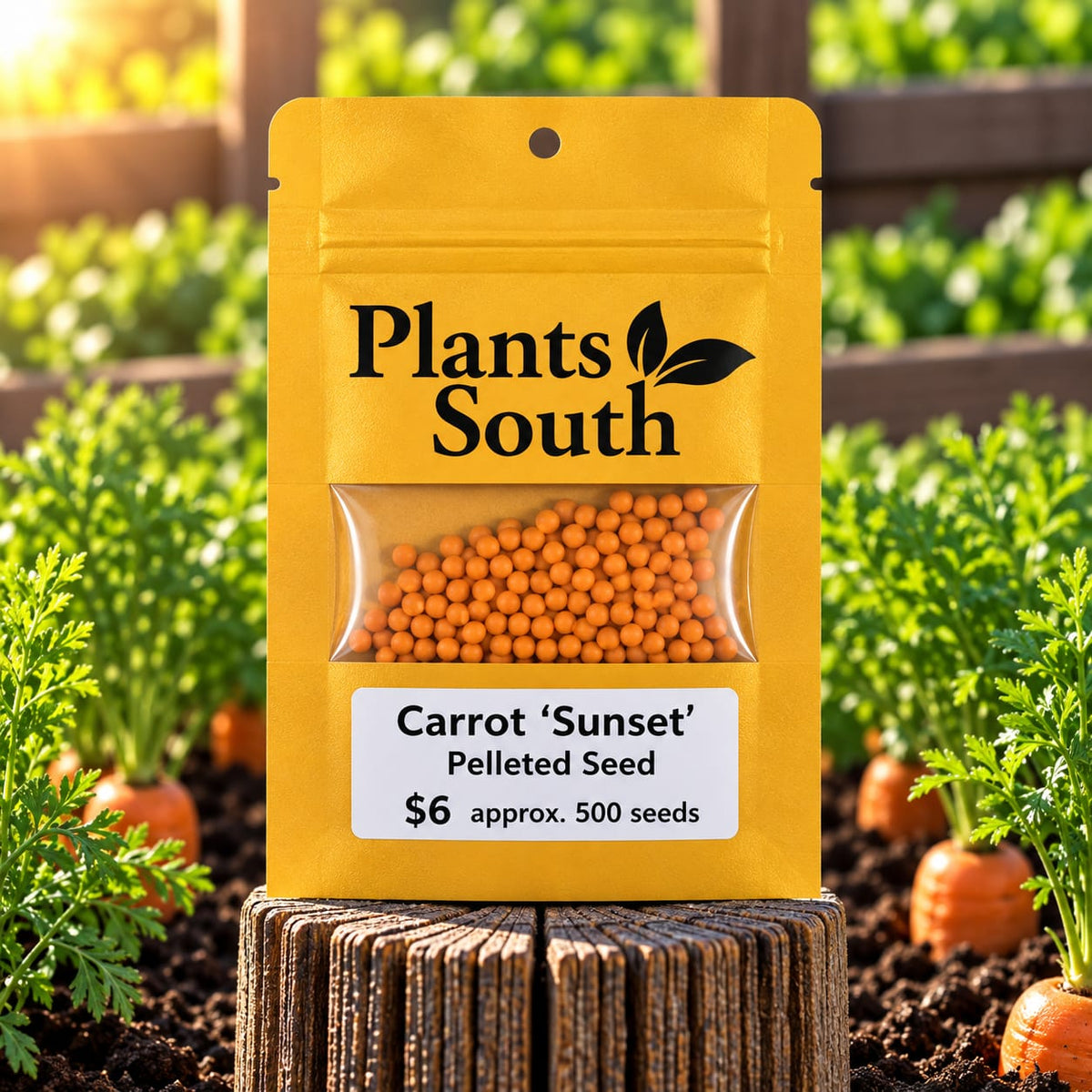 Carrot Seed 'Sunset' Pelleted 500 seeds approx.