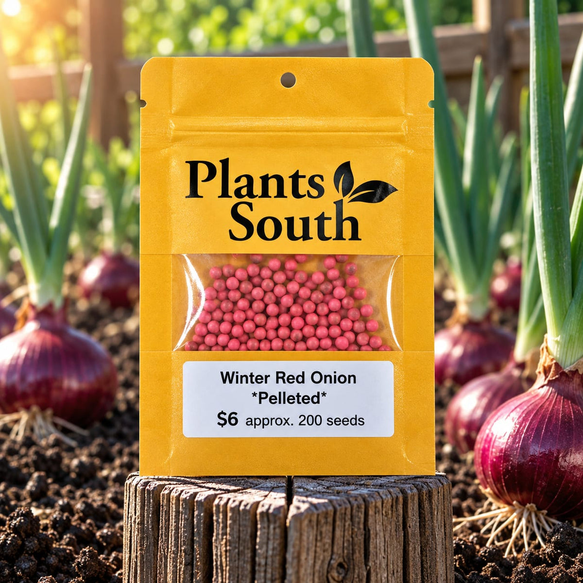 Red Winter Onion - Pelleted seed