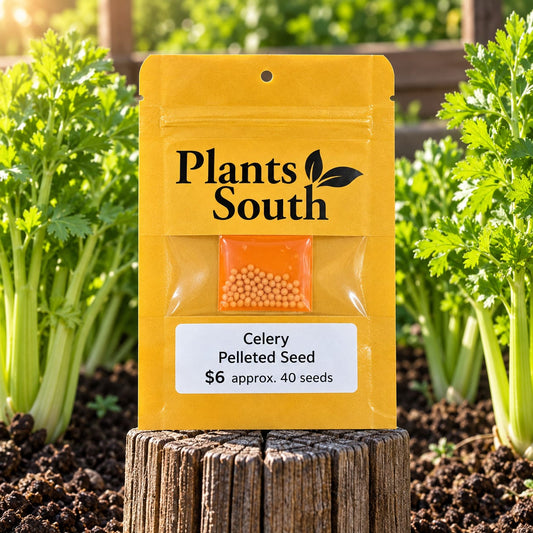 Celery - Pelleted Seed