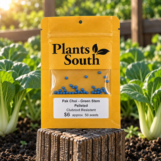Pak Choi - Green Stem- Clubroot Resistant - Pelleted