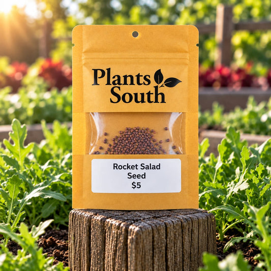 Rocket Salad Seed