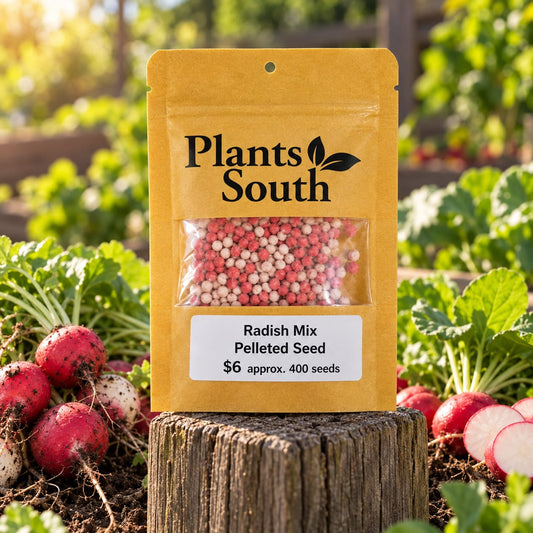 Mix Radish Pelleted seed Approx 400 seeds