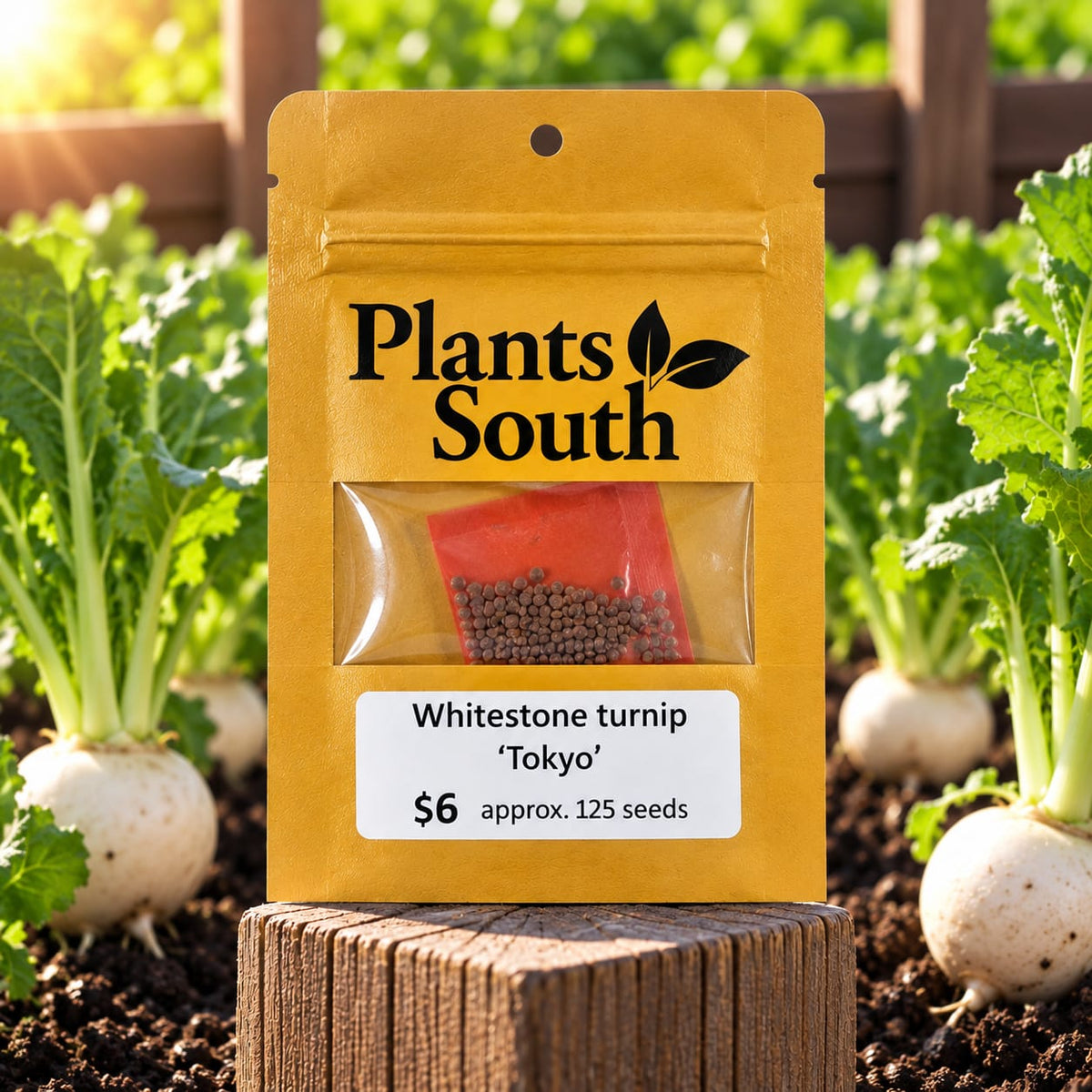 Whitestone turnip - Tokyo