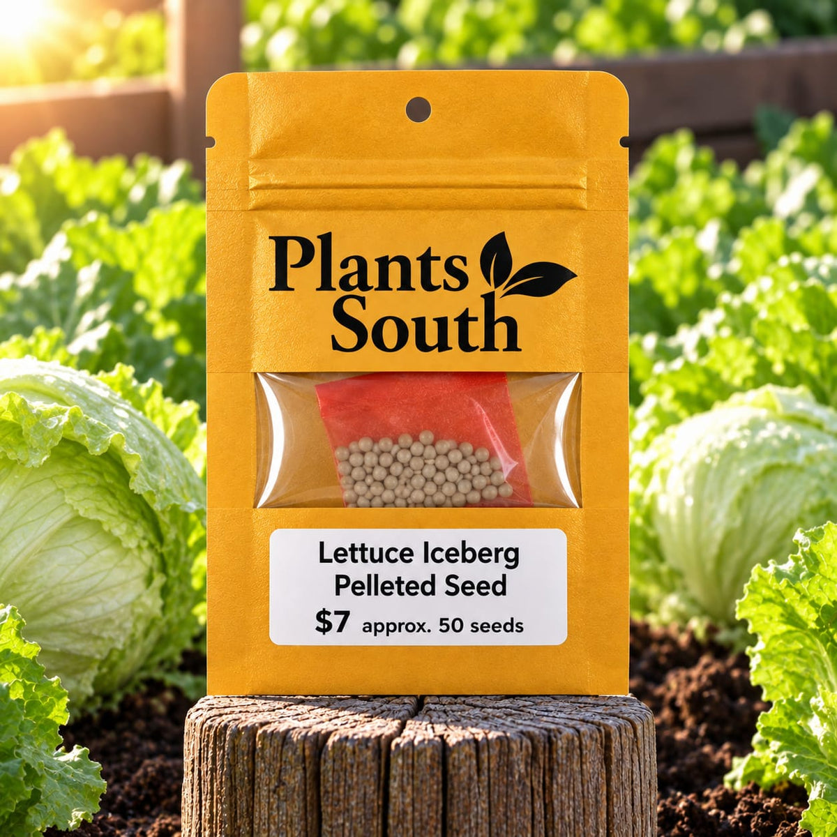 Lettuce Iceberg Seed Pelleted