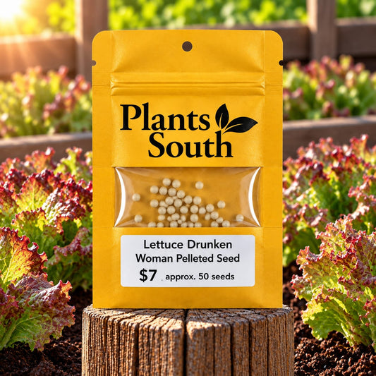 Lettuce Drunken Woman Seed Pelleted