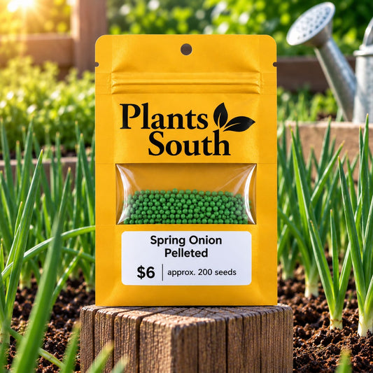 Spring Onion - Pelleted seed