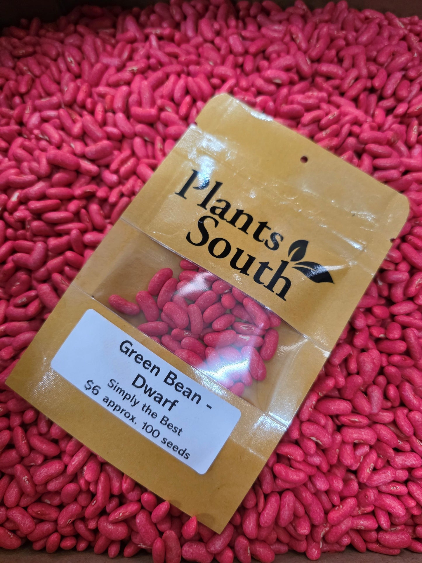 Dwarf Green Bean - Simply the best