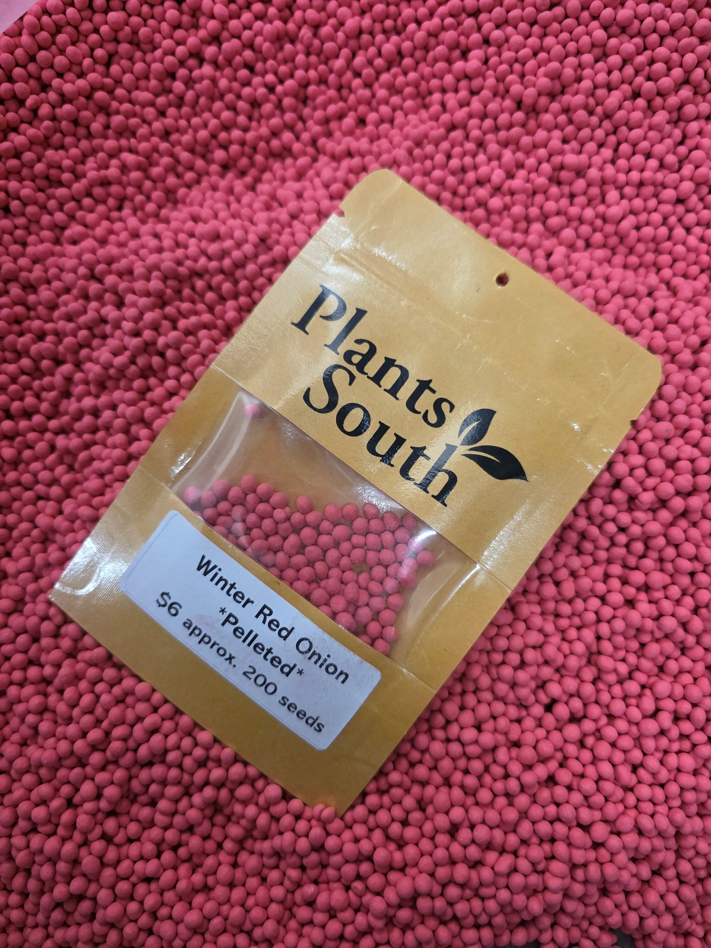 Red Winter Onion - Pelleted seed